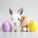 Easter_bunny__chick.jpeg